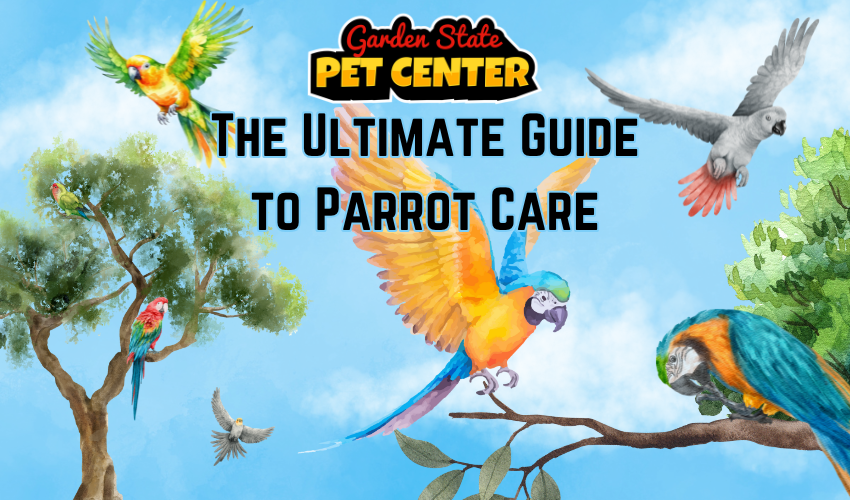 The Ultimate Guide to Parrot Care: Ensuring a Happy and Healthy Feathered Friend