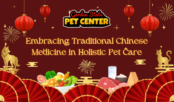 Embracing Traditional Chinese Veterinary Medicine (TCVM) and Holistic Pet Care for Optimal Health