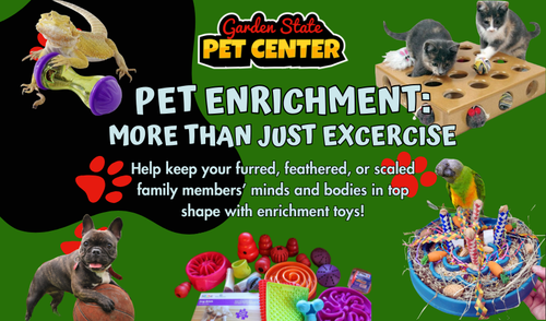 The Importance of Enrichment Toys for Your Pet’s Mental Health