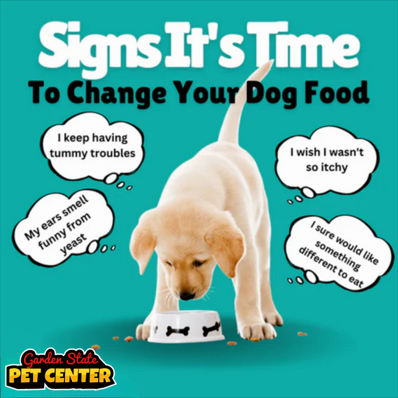 Signs Your Pet’s Diet Needs a Boost