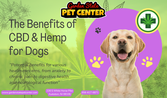 The Benefits of CBD and Hemp for Pets: A Comprehensive Guide