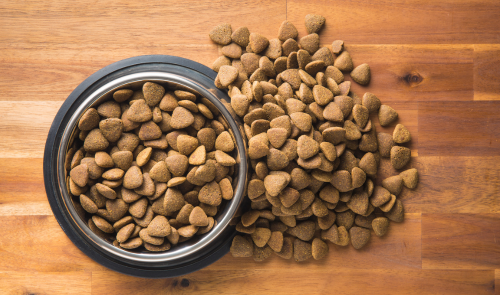 Why Fromm pet food?