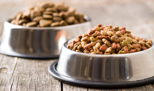 All About Farmina Pet Food and the reasons you should consider feeding Farmina