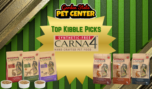 Why Carna4 Is One of My Top Kibble Picks