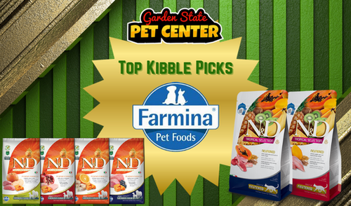 Why Farmina is One of My Top Kibble Picks