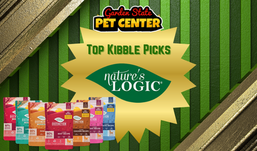 Why Nature's Logic Distinction Dog Food Is One of the Top Kibble Recommendations