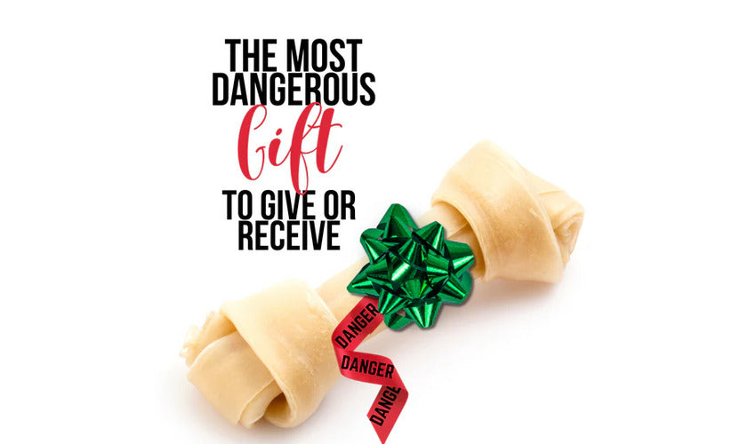 Avoid the Most Dangerous Dog Gift This Holiday Season