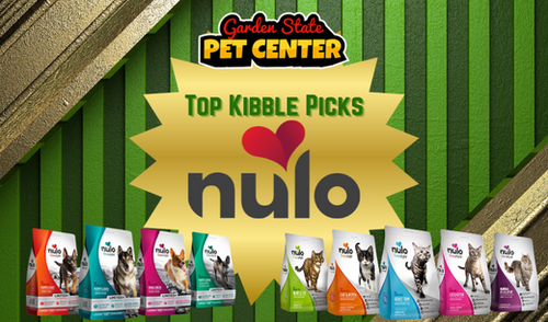 Why Nulo Is One of My Top Kibble Picks