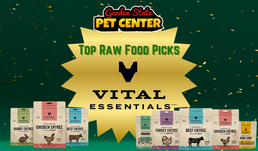 Why Vital Essentials Is One of My Top Raw and Freeze-Dried Picks