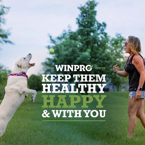 Winpro Hip & Joint For Strong Healthy Joints For Dogs (60 Count)