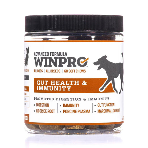 Winpro Gut Health For Digestive Health & Immunity For Dogs (60 Count)