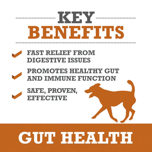 Winpro Gut Health For Digestive Health & Immunity For Dogs (60 Count)