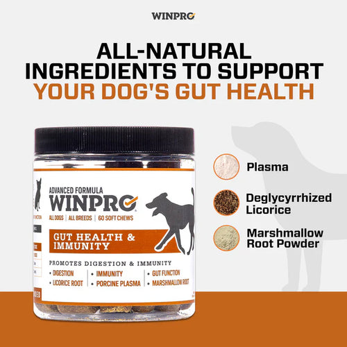 Winpro Gut Health For Digestive Health & Immunity For Dogs (60 Count)