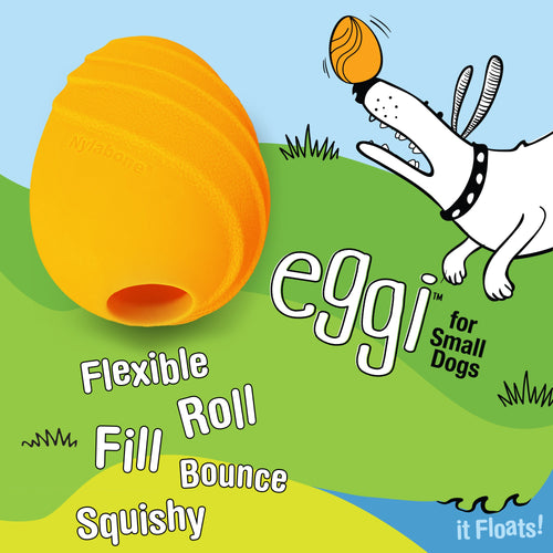 Nylabone Creative Play Eggi Dog Treat Toy