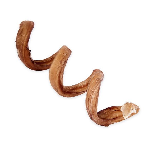 Raw Dog Bully Spring Chews Dog Treats