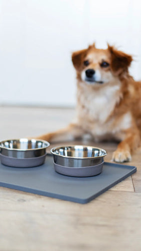 Messy Mutts Silicone Non-Slip Pet Bowl Mat with Raised Edge