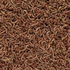 San Francisco Bay Brand Freeze Dried Bloodworms