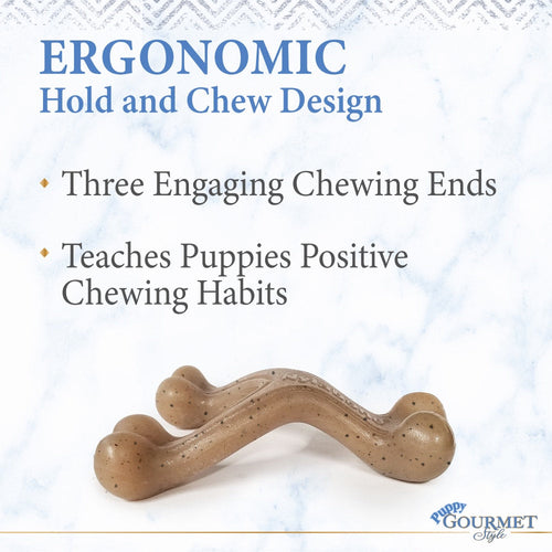 Nylabone Gourmet Style Strong Wishbone Puppy Chew Toy