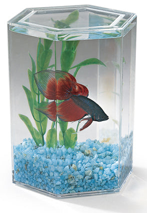 Lee's Aquarium & Pet Products Betta Keeper® (Small)