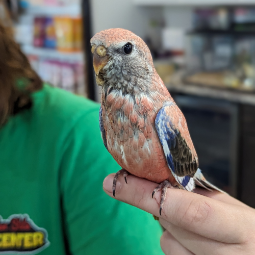 Inside of Garden State Pet Center