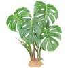 Komodo Monstera Leaf Standing Plant