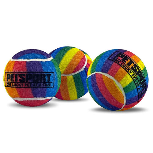 Petsport Rainbow Squeak Ball Dog Toy