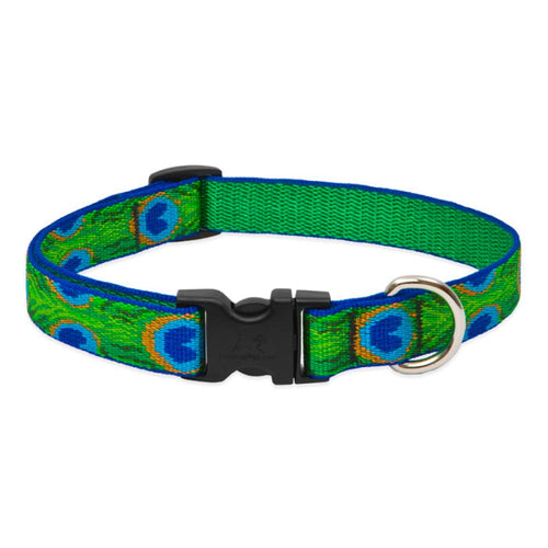 Lupine Pet Original Designs Dog Collar