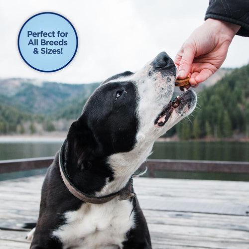 Natural Balance L.I.T. Limited Ingredient Treats Jumpin' Stix Venison & Sweet Potato Formula Dog Treats