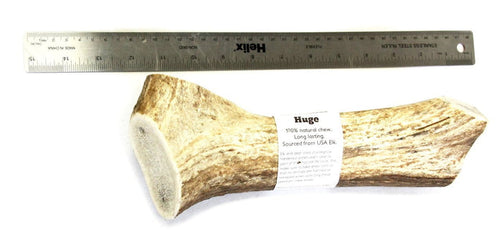 Tuesdays Natural Dog Company Elk Antler - Huge Whole Dog Treats