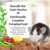 Lafeber Rascally Rat Nutri-Berries