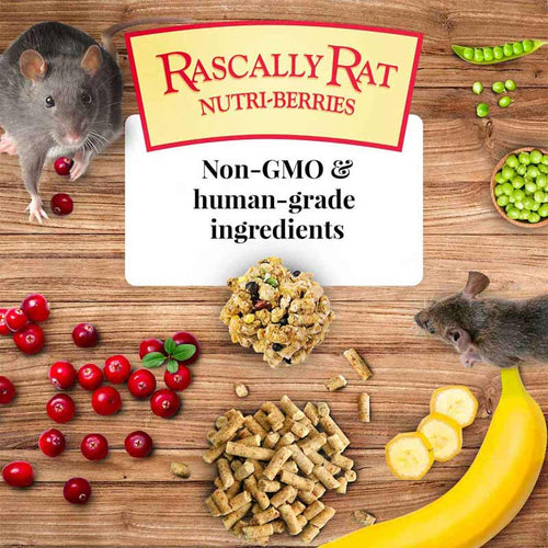 Lafeber Rascally Rat Nutri-Berries