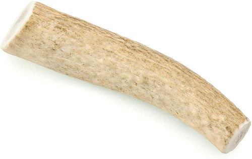 Barkworthies Whole Elk Antler Dog Chew for Medium Breed Dogs