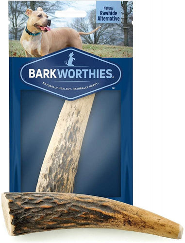 Barkworthies Whole Elk Antler Dog Chew for Small Breed Dogs