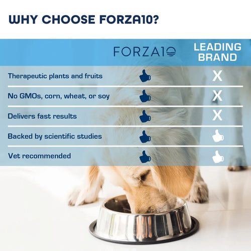 Forza10 Nutraceutic Legend Skin Icelandic Fish Recipe Grain-Free Canned Dog Food (13.7 oz)