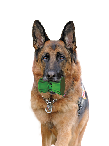 Ethical SPOT Barrett Tough Tumbler Dog Toy