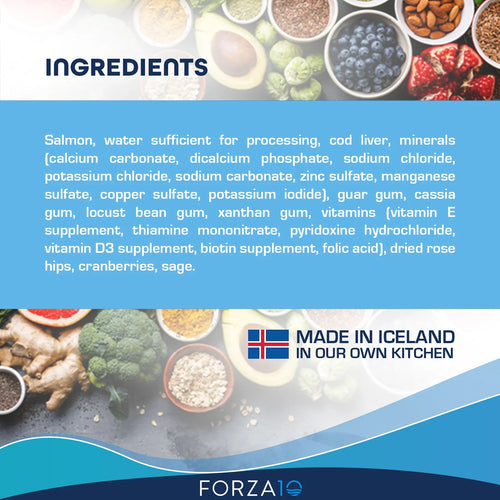 Forza10 Nutraceutic Legend Skin Icelandic Fish Recipe Grain-Free Canned Dog Food (13.7 oz)