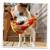 Doggijuana Tuffer Chewer Refillable Supreme Pizza Dog Toy