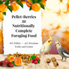 Lafeber Company Pellet-Berries for Cockatiels (10 oz)