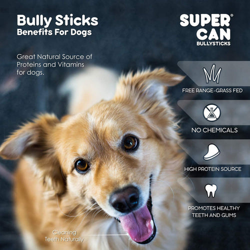 Supercan 12 Standard Bully Sticks