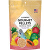 Lafeber Parakeet Tropical Fruit Gourmet Pellets (1.25 lb)