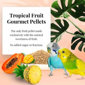 Lafeber Parakeet Tropical Fruit Gourmet Pellets (1.25 lb)