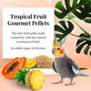 Lafeber Company Cockatiel Tropical Fruit Gourmet Pellets (1.25 lb)