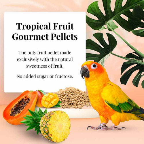 Lafeber Company Conure Tropical Fruit Gourmet Pellets