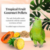 Lafeber Company Parrot Tropical Fruit Gourmet Pellets