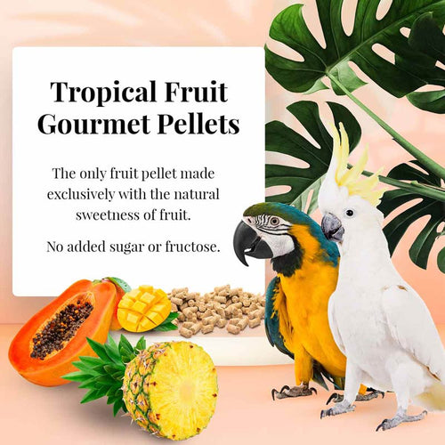 Lafeber Company Macaw Tropical Fruit Gourmet Pellets