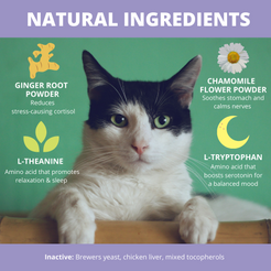 Under the Weather Calming Powder For Cats (2.54 oz)