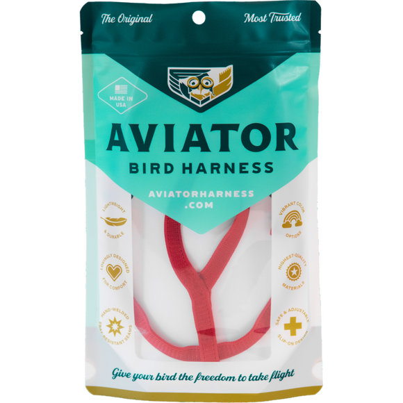 Aviator Harness and Leash