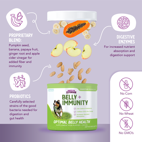 Health Extension Holistic Belly + Immunity Digestive Probiotic Supplement for Dogs