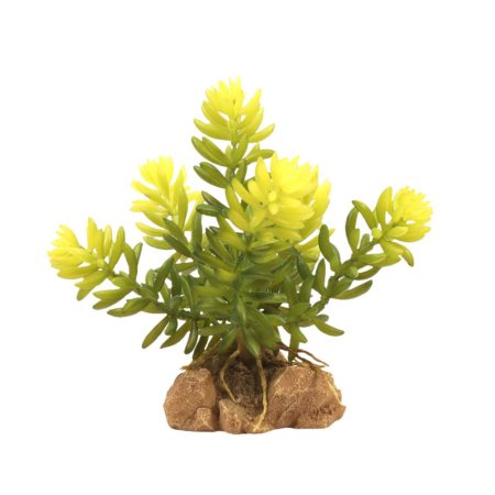 Zoo Med Desert Flora – Burro’s Tail (1 Count)