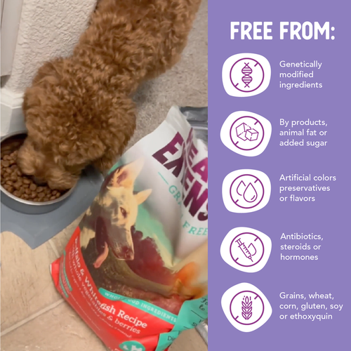 Health Extension Grain Free Buffalo, Whitefish & Sweet Potato Recipe Dry Dog Food